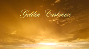 Golden Cashmere