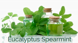 Eucalyptus Spearmint 4 oz.