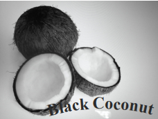 Black Coconut 4 oz.