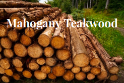 Mahogany Teakwood [BEST SELLER]